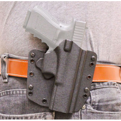 DESANTIS SL RAPTOR HOLSTER BLK IWB/OWB RH KYDEX SIG P250 COM<