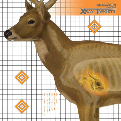 CHAMPION X-RAY TARGET DEER 25"X25" 6-PACK<