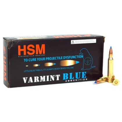 HSM 223 REM 55GR BLITZ KING 20RD 25BX/CS