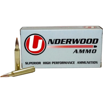 UNDERWOOD 458 HAMMMER 300GR BALLISTIC TIP 20RD 10BX/CS