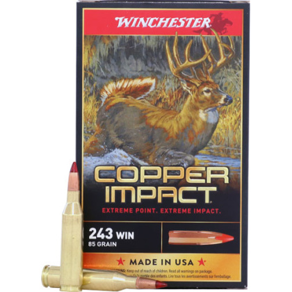 WINCHESTER COPPER IMPACT 243 WIN 85GR 20RD 10BX/CS