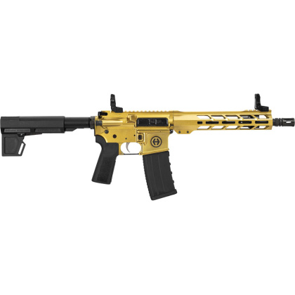 HIPOINT PISTOL HP-15 300 AAC 10.5" 30RD BLADE BRACE GOLD